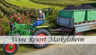 Wine Resort Markelsheim